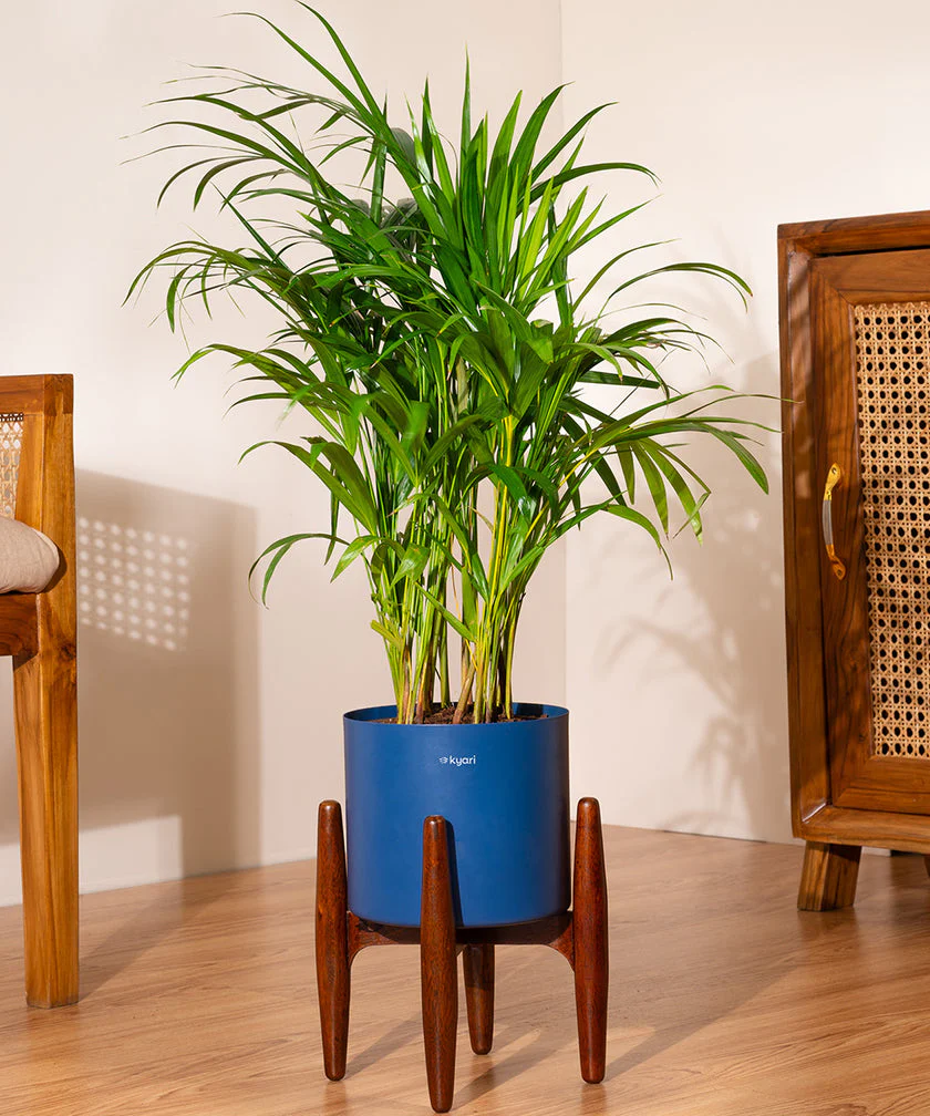 Product image 132