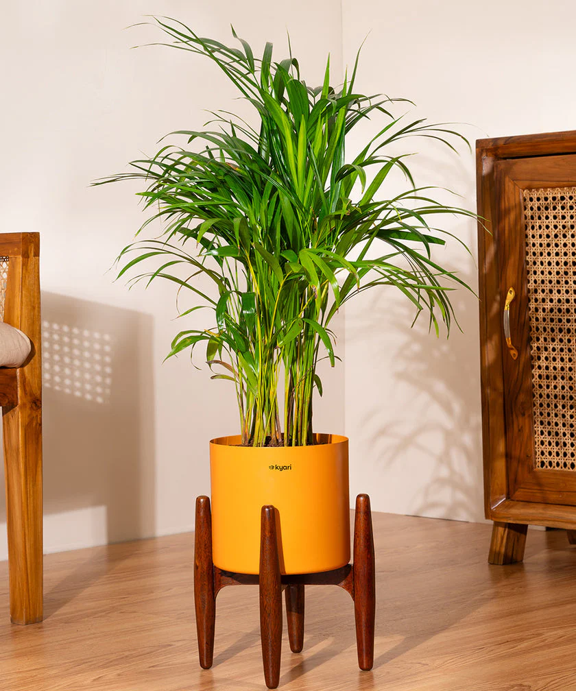 Product image 155