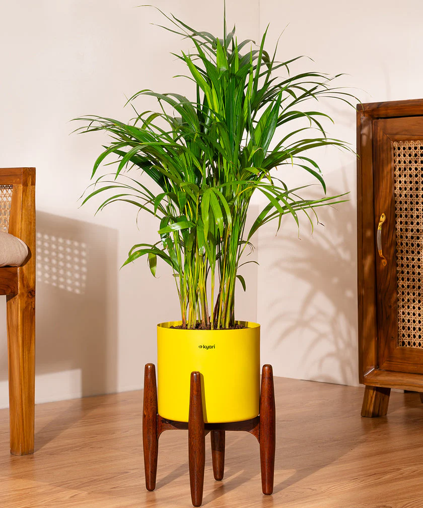 Product image 198