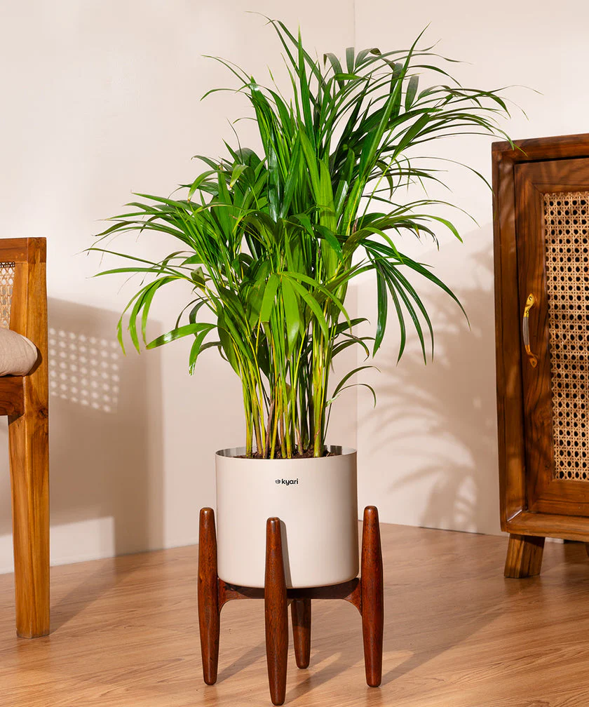 Product image 89