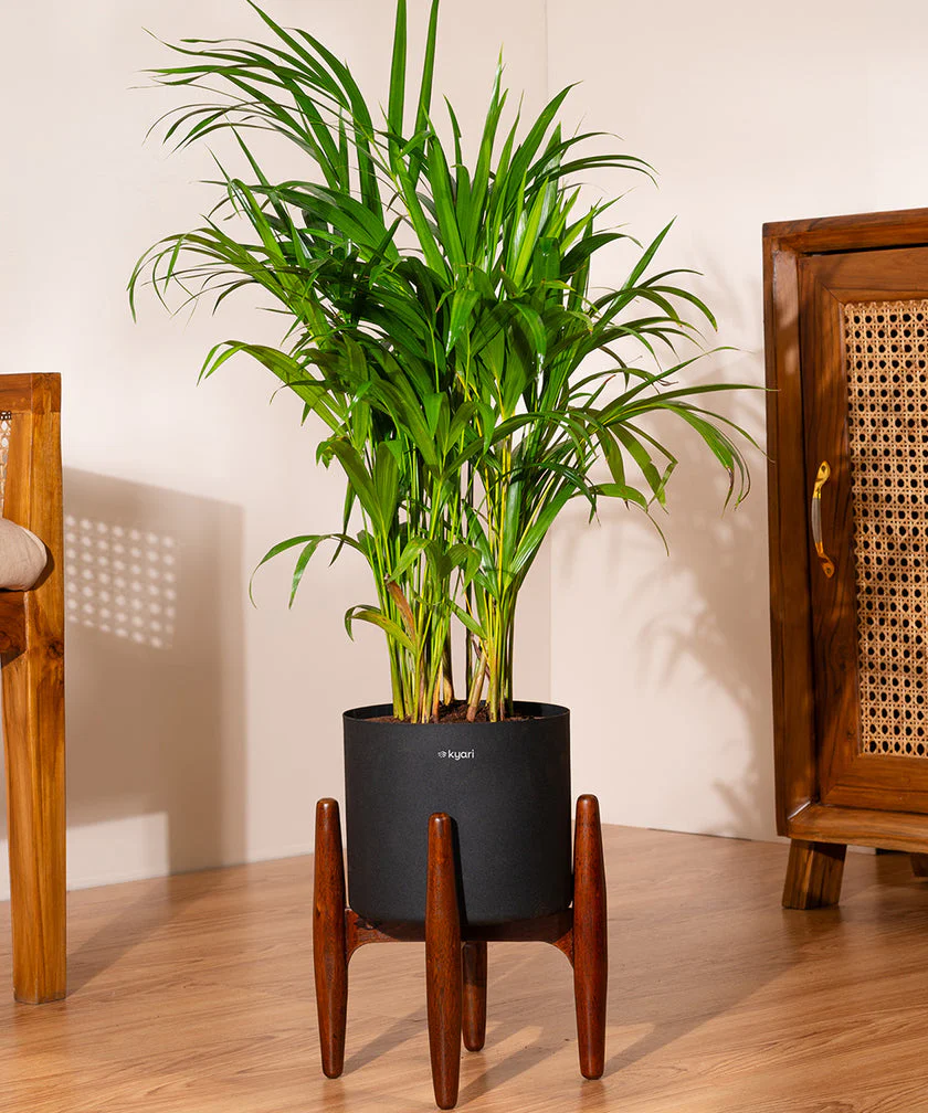 Product image 96
