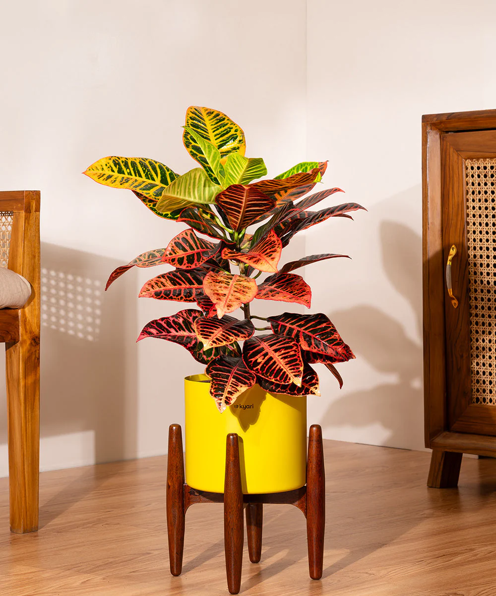 Product image 184