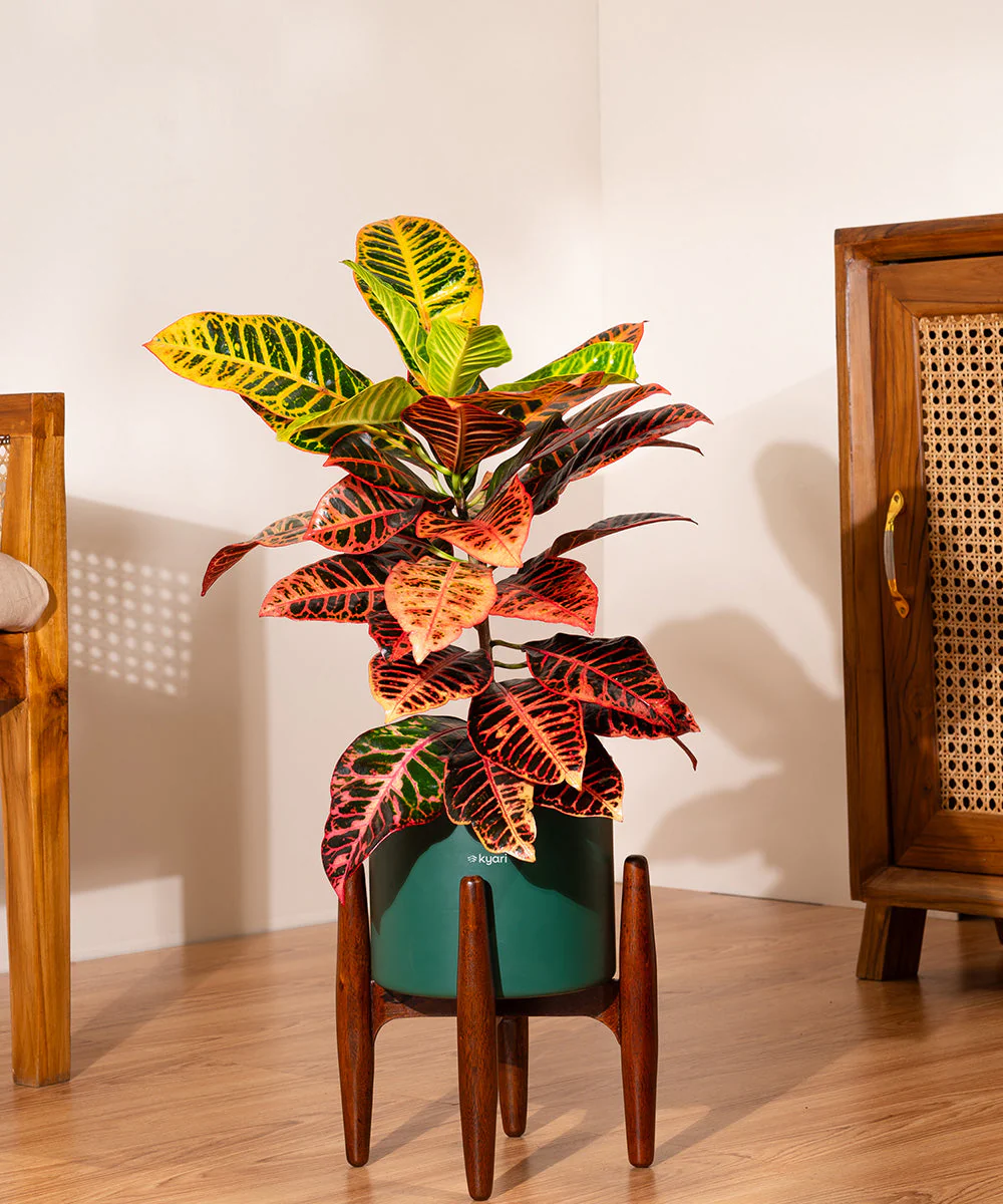 Product image 196