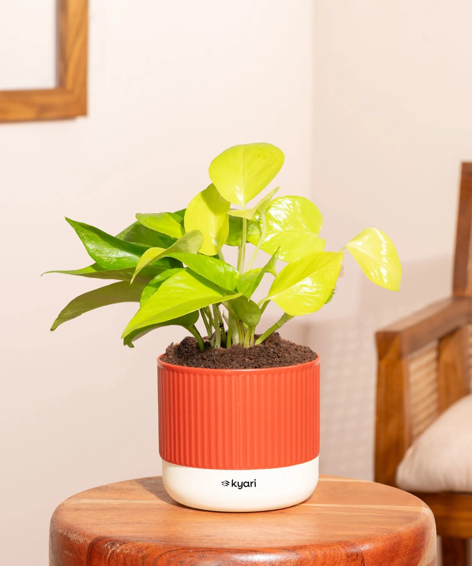 Product image 127