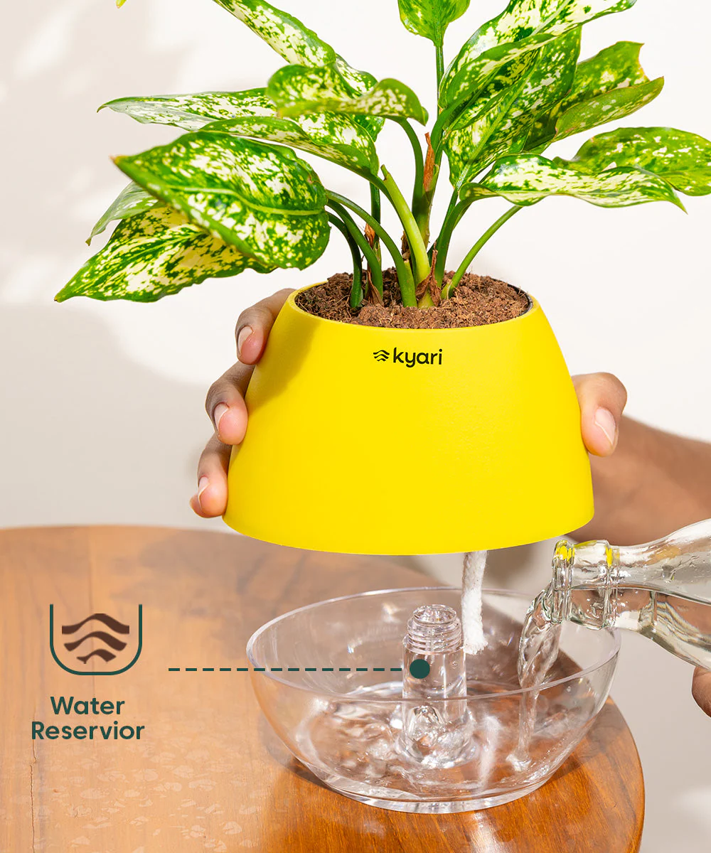 Product image 101