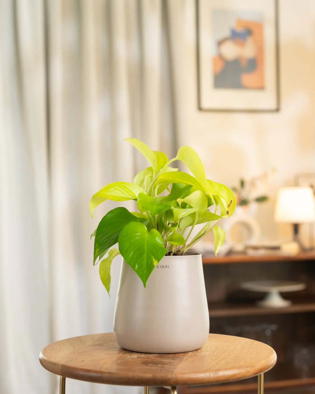 Product image 60