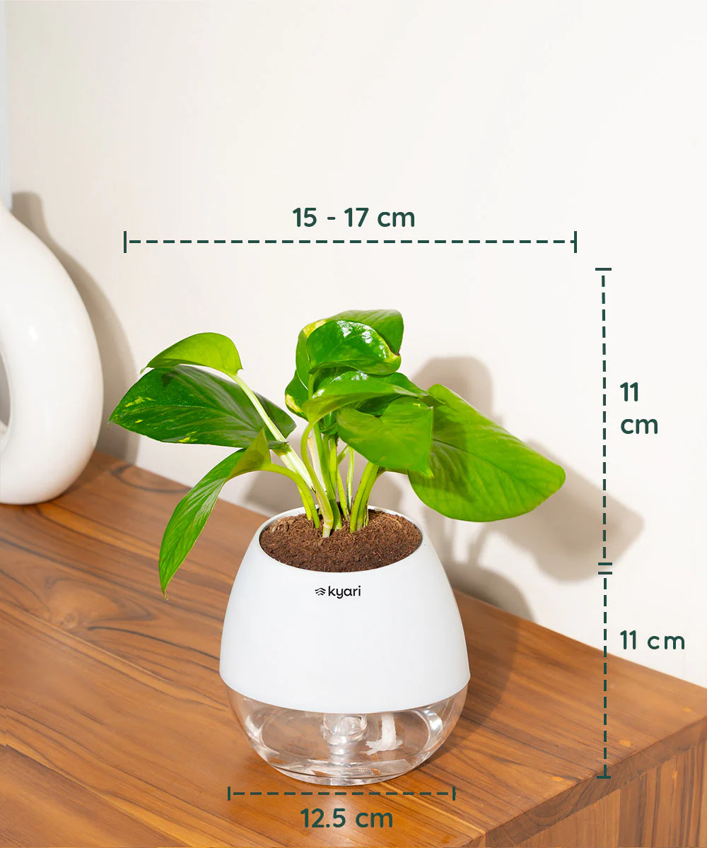 Product image 70