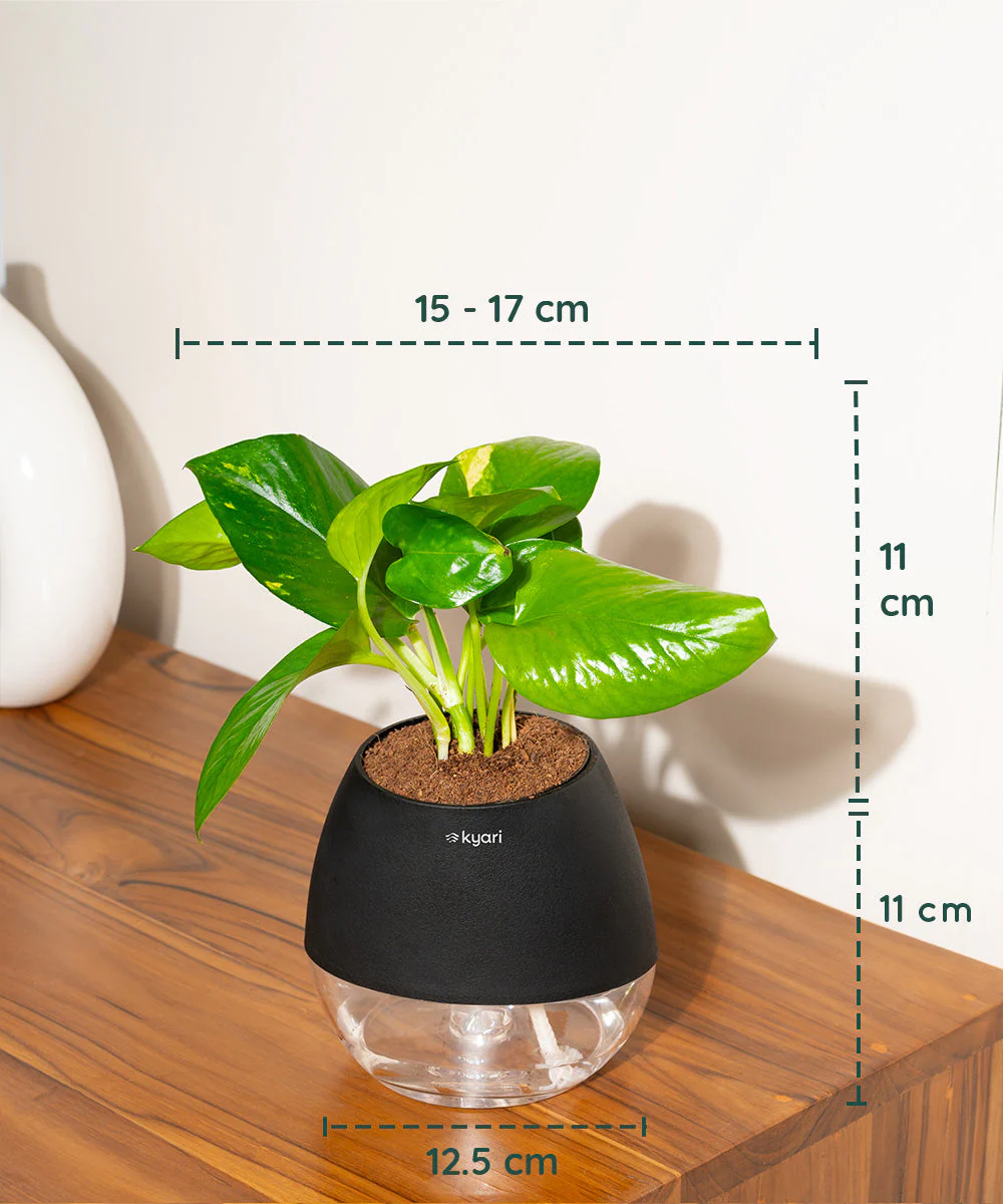 Product image 85