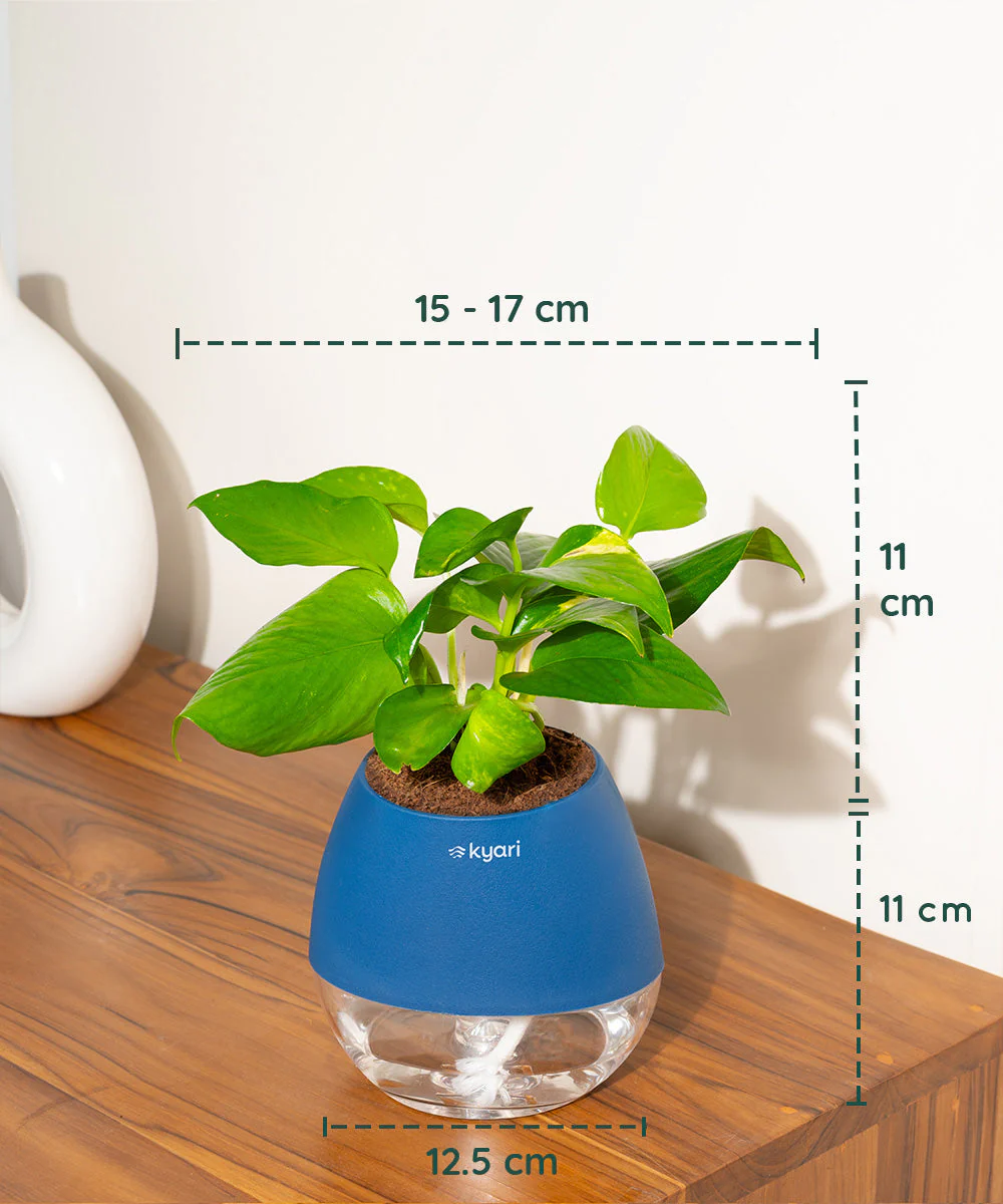 Product image 94