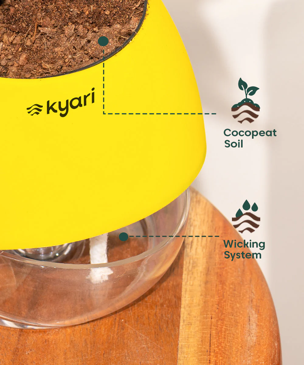 Product image 106