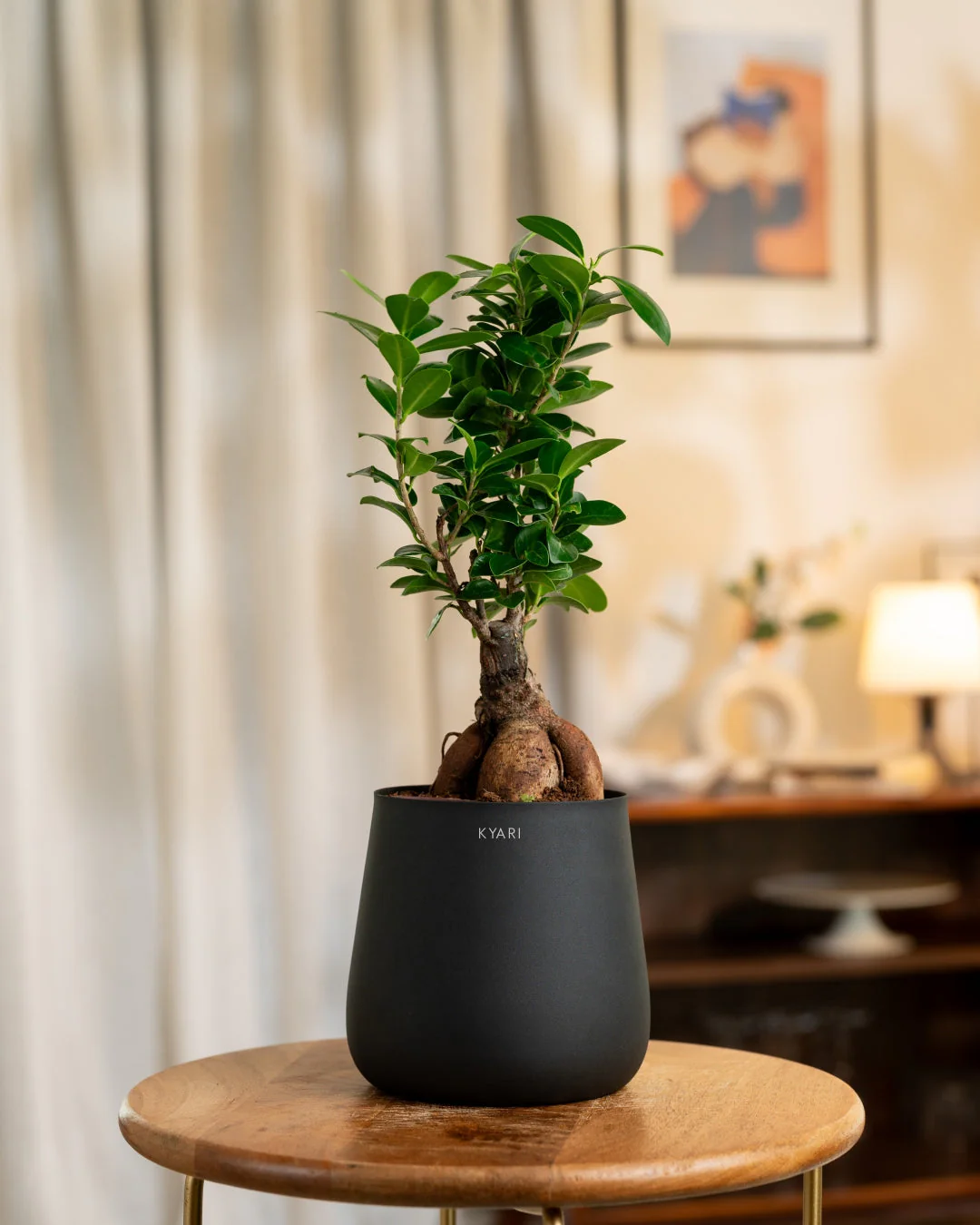 Product image 61