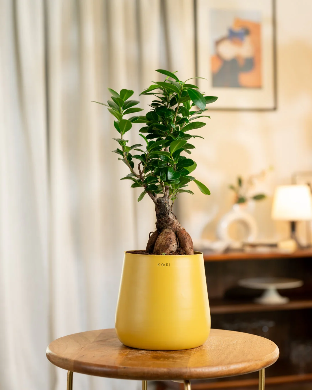 Product image 67