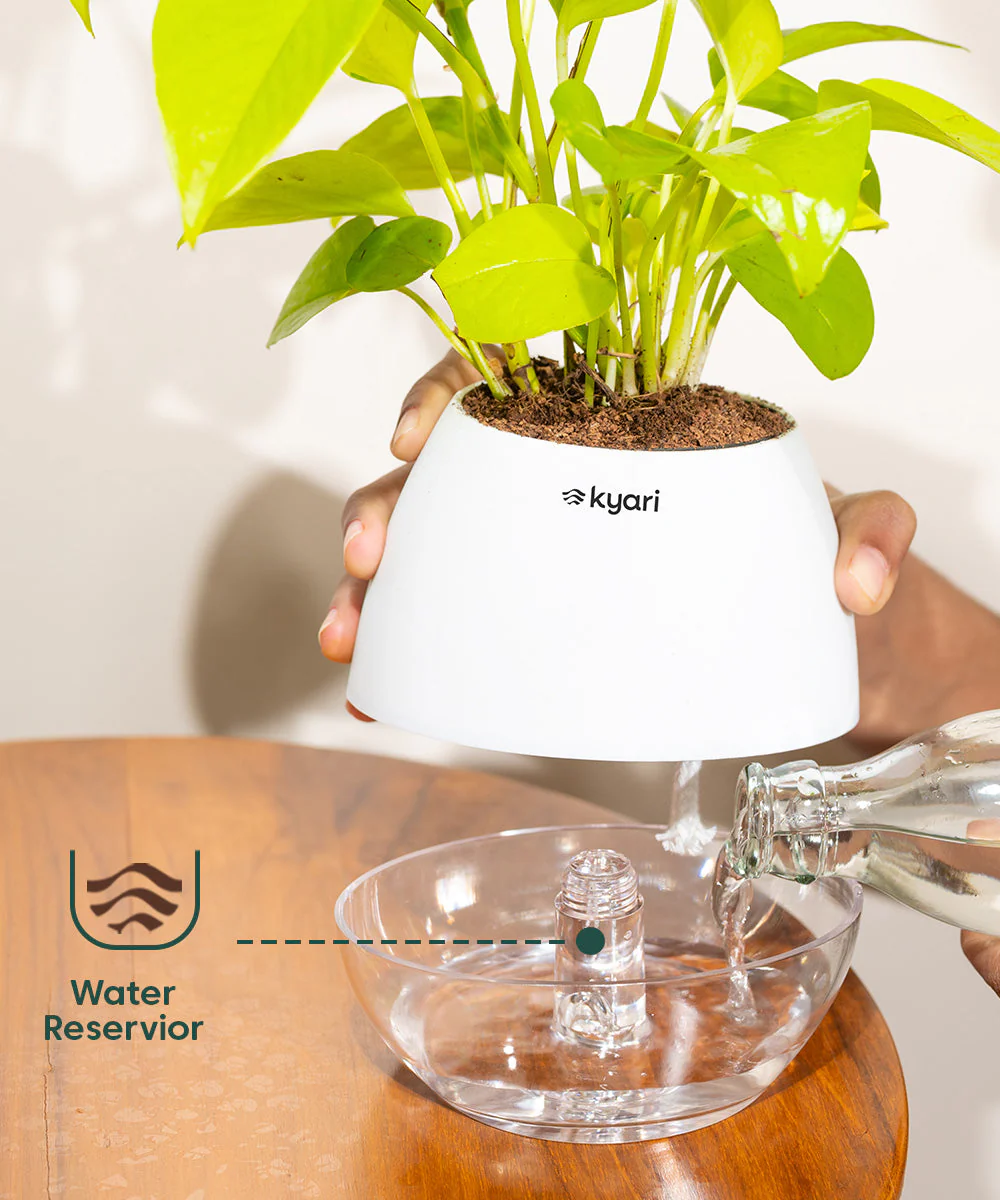Product image 75