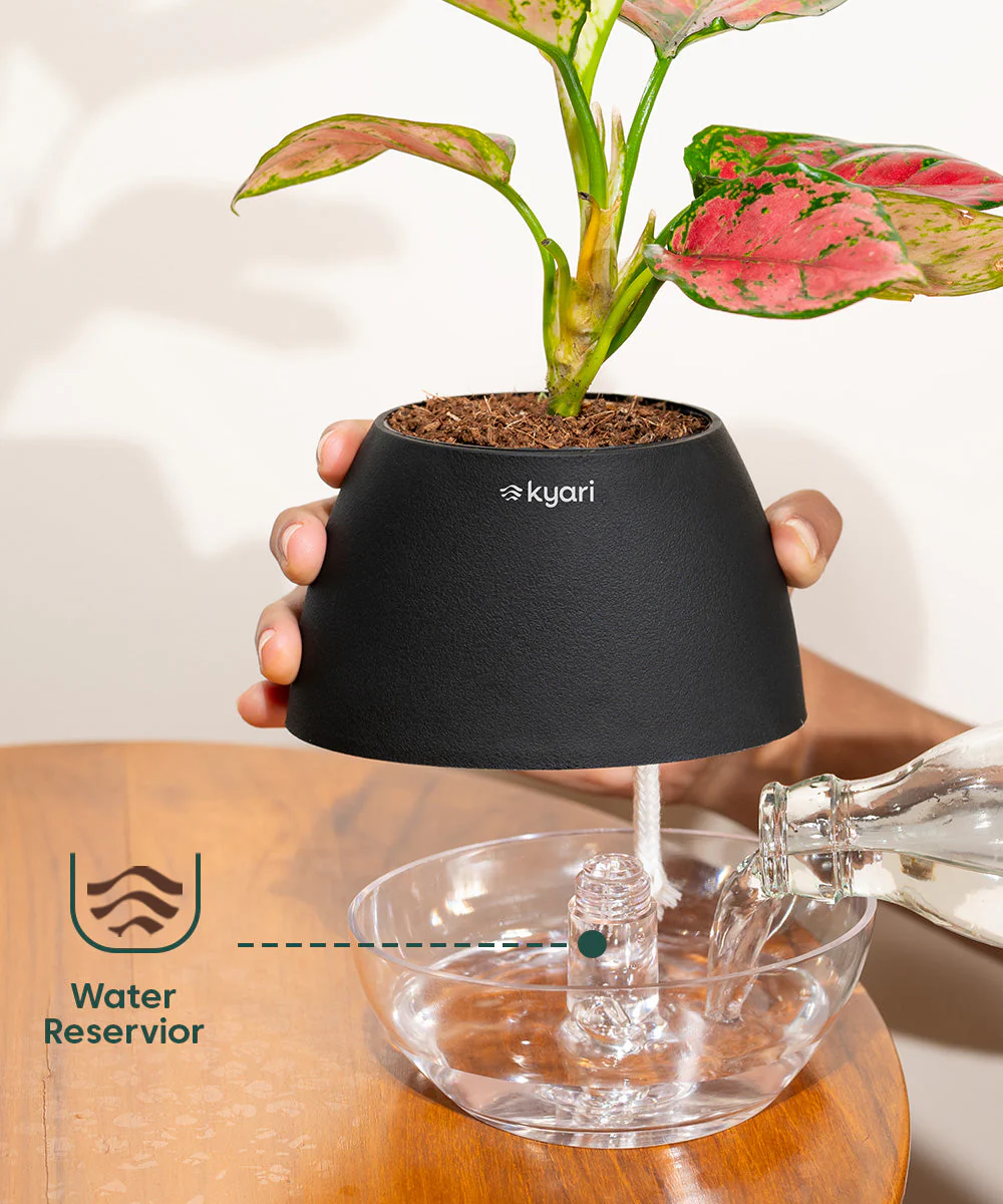 Product image 91