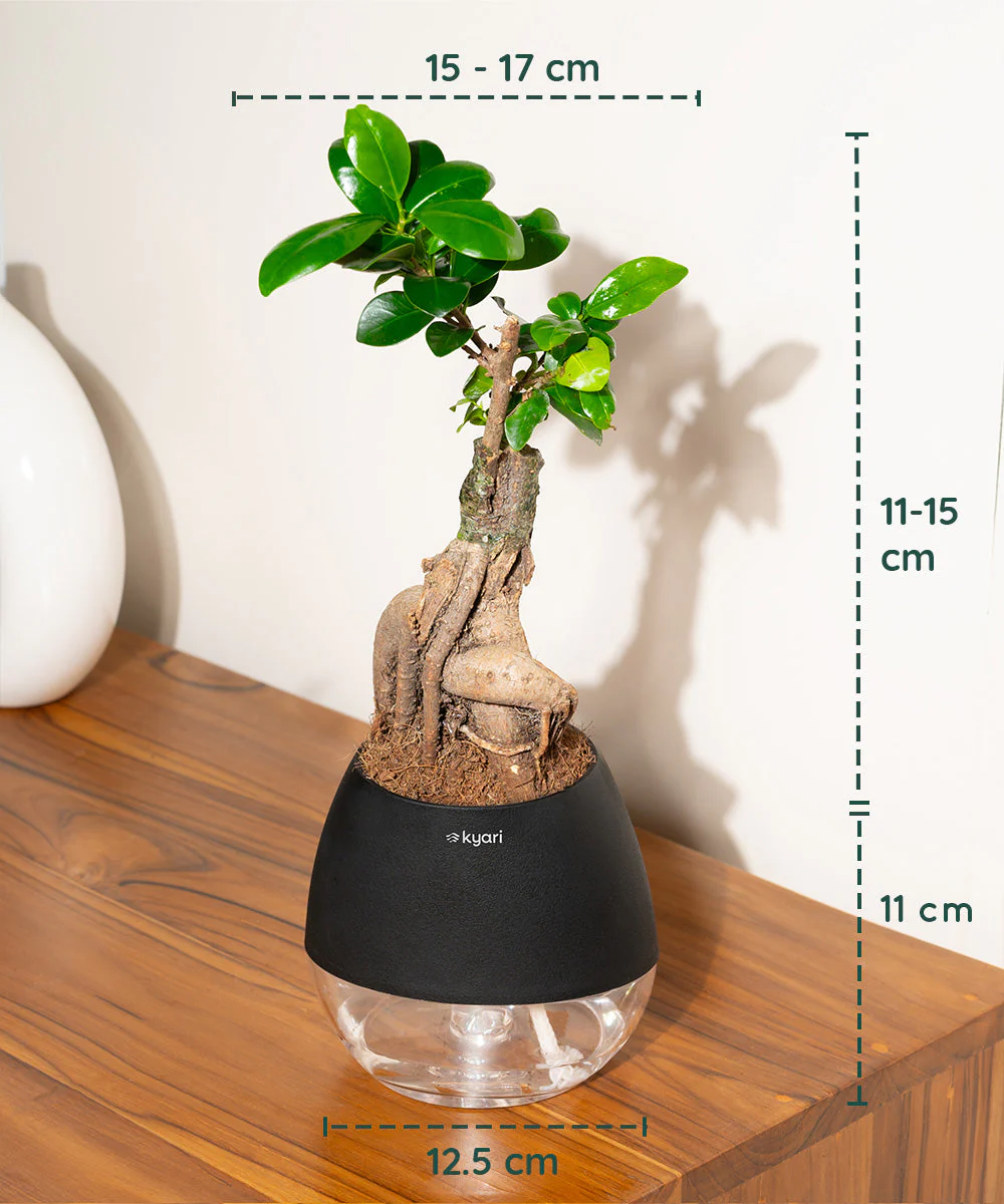 Product image 92