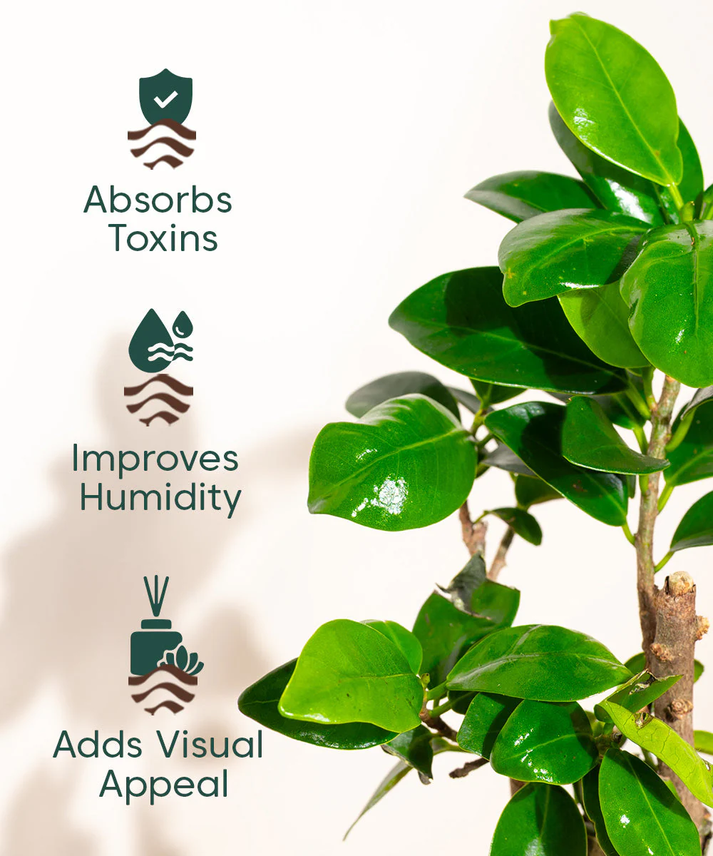 Product image 93