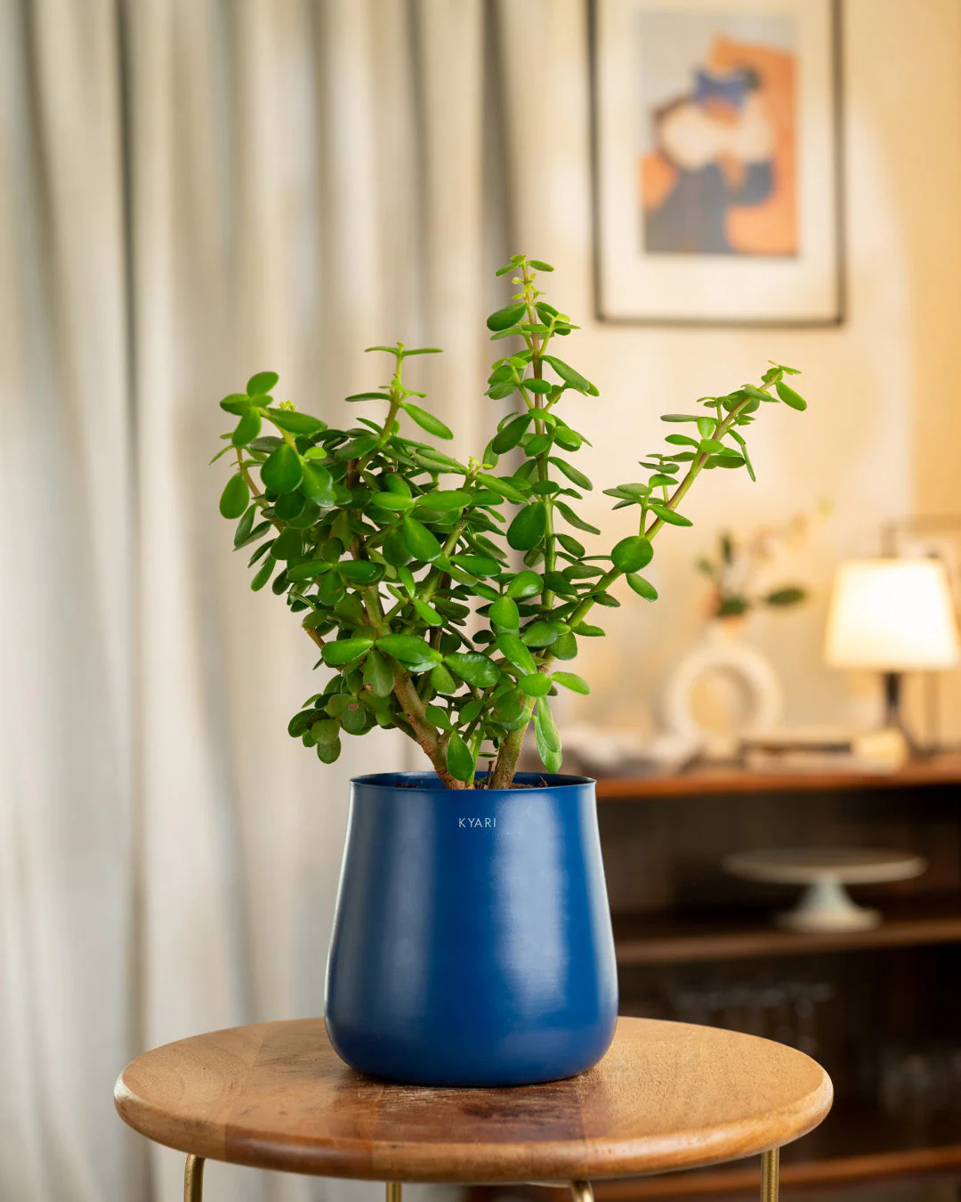 Product image 111
