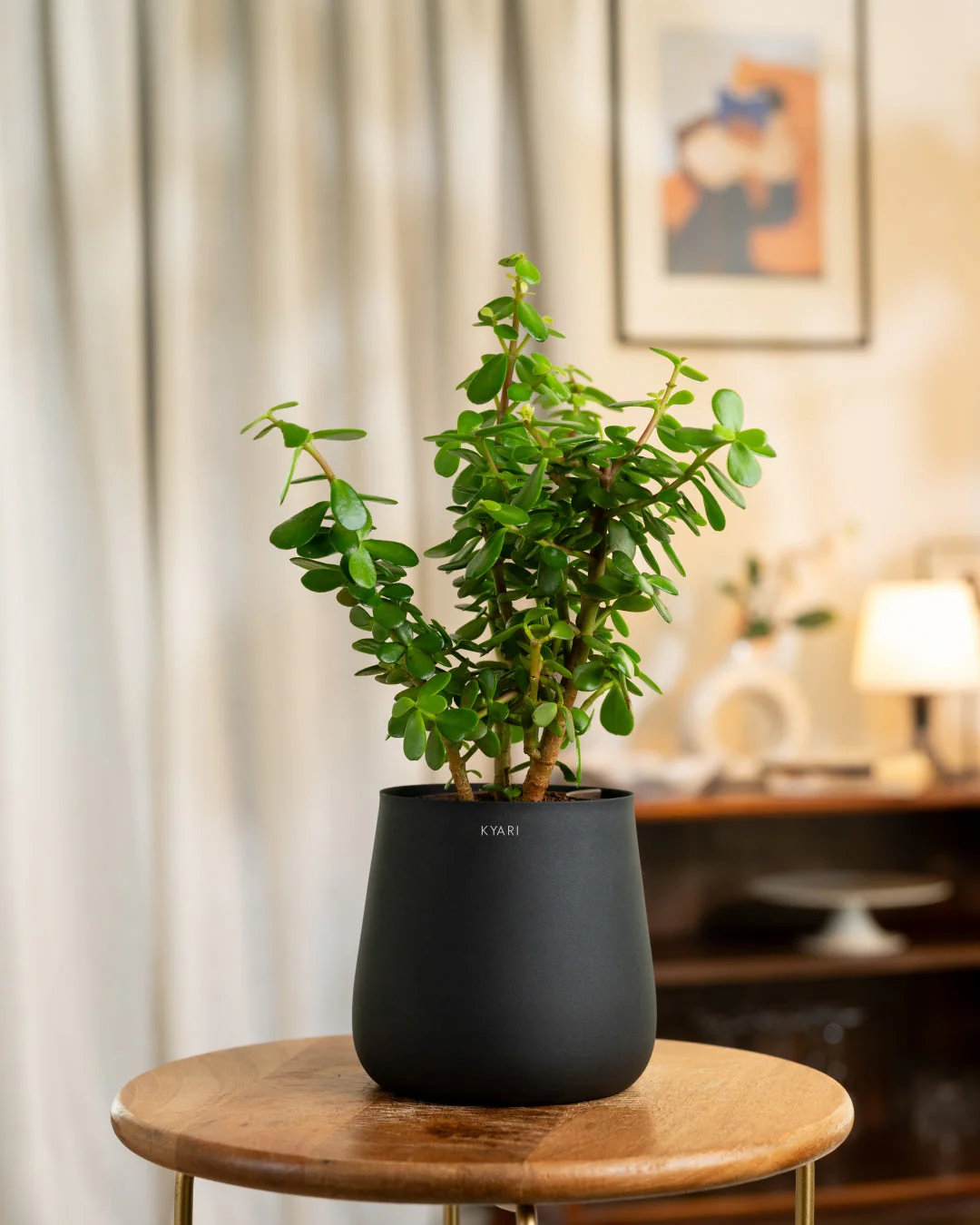 Product image 204
