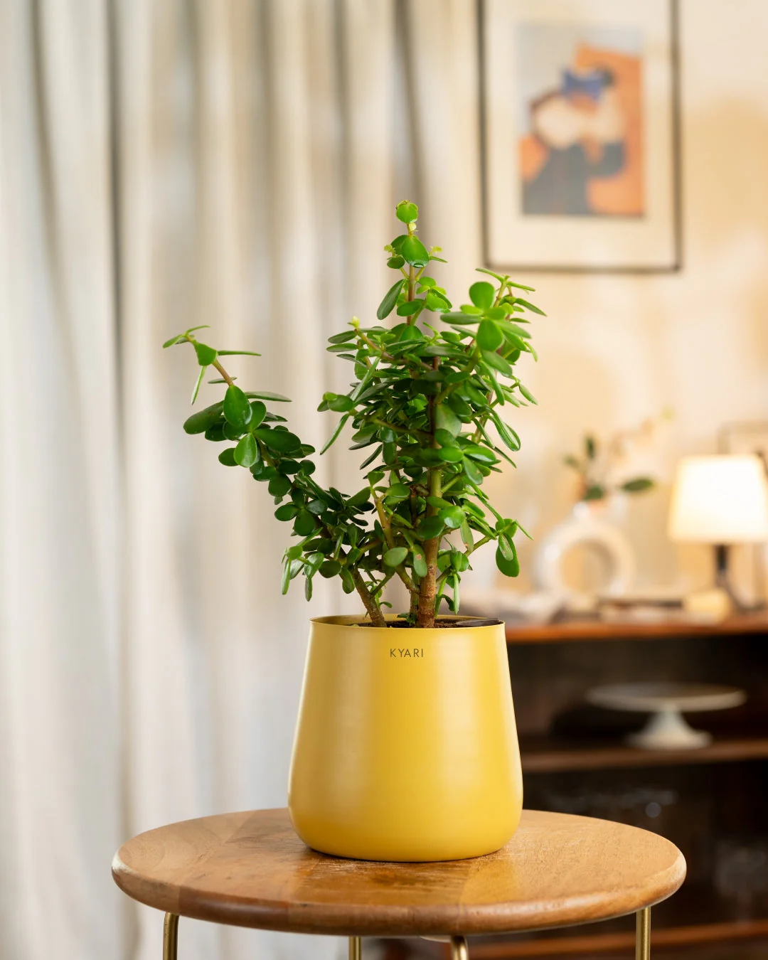 Product image 69
