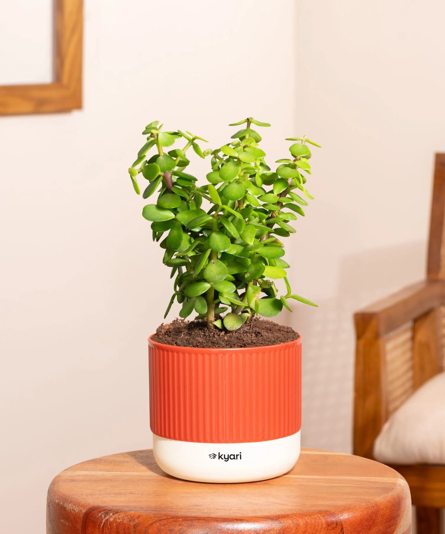 Product image 159