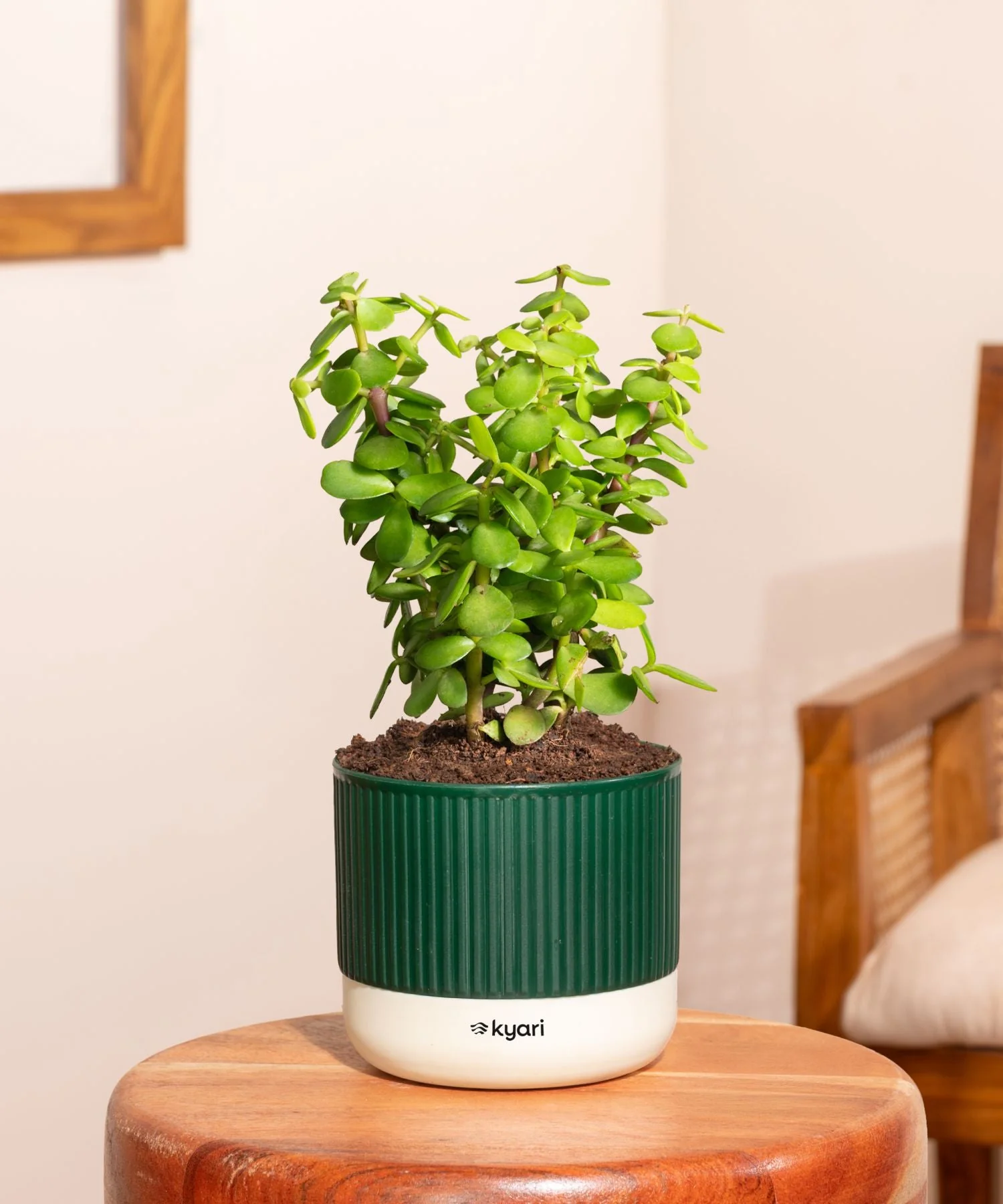 Product image 94