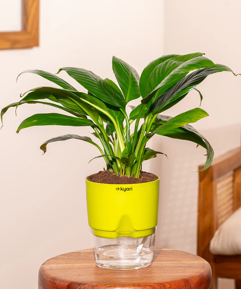 Product image 133