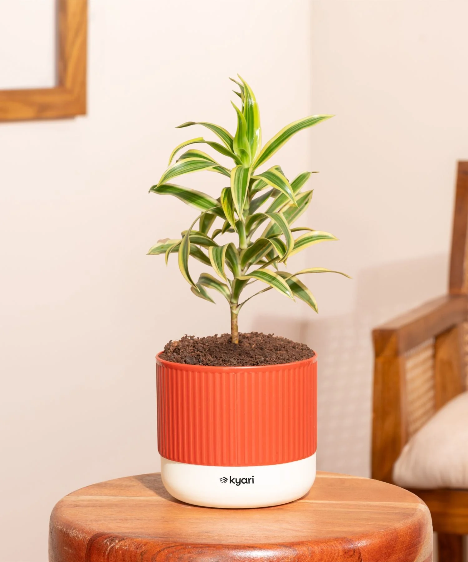 Product image 66